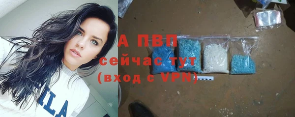 таблы Богданович