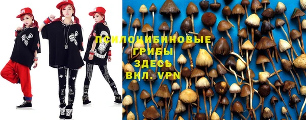таблы Богданович
