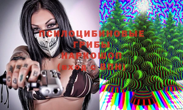 таблы Богданович